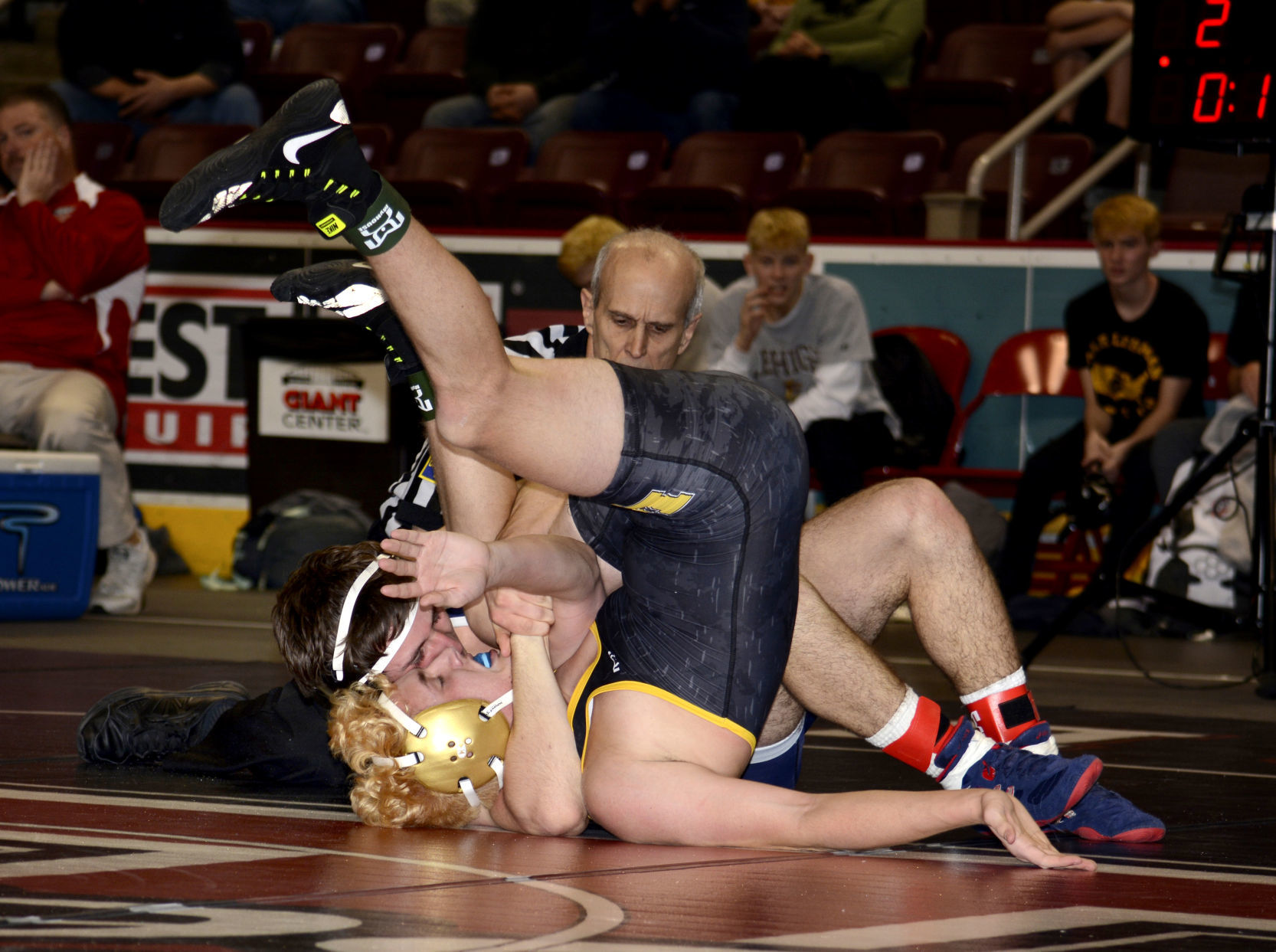 Griffin cradle